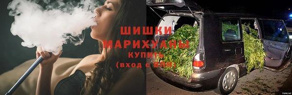 гидропоника Гусь-Хрустальный