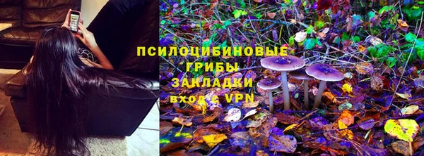 гидропоника Гусь-Хрустальный