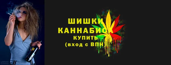 гидропоника Гусь-Хрустальный