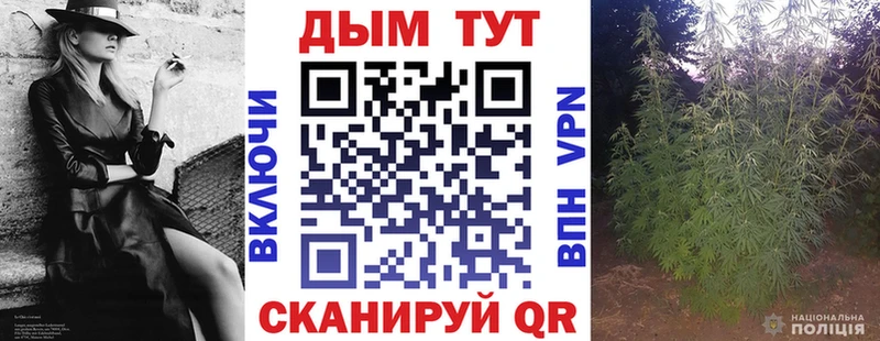 Шишки марихуана THC 21%  магазин продажи   Мончегорск 